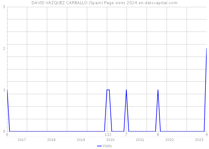 DAVID VAZQUEZ CARBALLO (Spain) Page visits 2024 