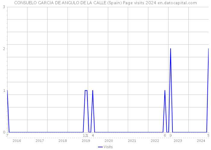 CONSUELO GARCIA DE ANGULO DE LA CALLE (Spain) Page visits 2024 