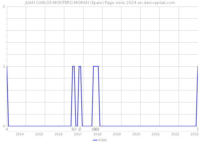 JUAN CARLOS MONTERO MORAN (Spain) Page visits 2024 