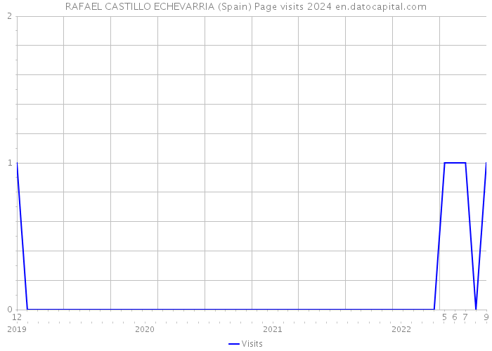 RAFAEL CASTILLO ECHEVARRIA (Spain) Page visits 2024 