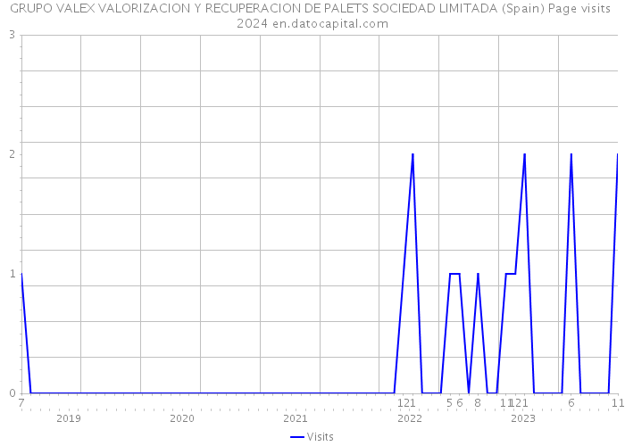 GRUPO VALEX VALORIZACION Y RECUPERACION DE PALETS SOCIEDAD LIMITADA (Spain) Page visits 2024 