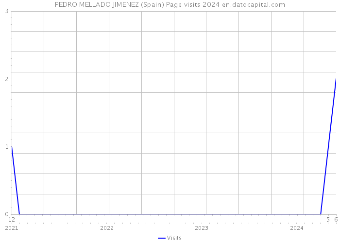 PEDRO MELLADO JIMENEZ (Spain) Page visits 2024 