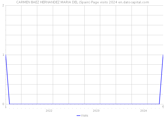 CARMEN BAEZ HERNANDEZ MARIA DEL (Spain) Page visits 2024 