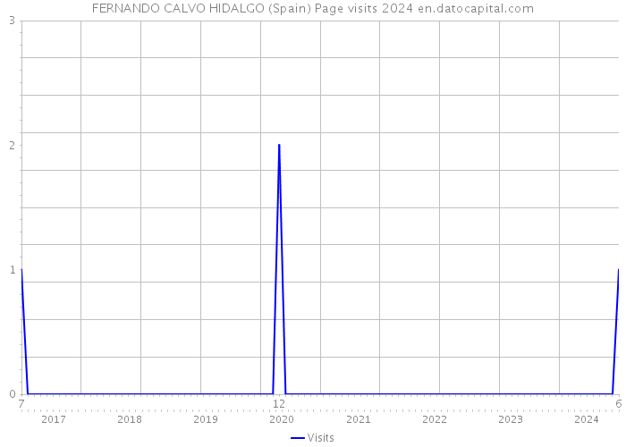 FERNANDO CALVO HIDALGO (Spain) Page visits 2024 
