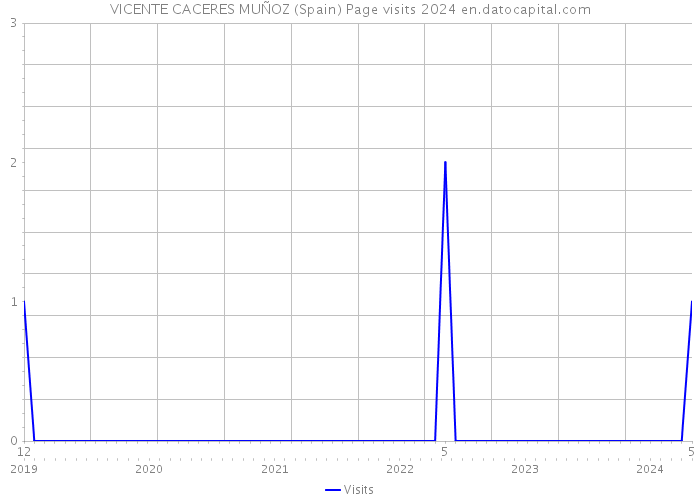 VICENTE CACERES MUÑOZ (Spain) Page visits 2024 