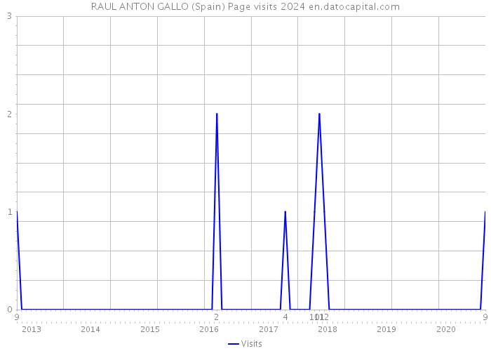 RAUL ANTON GALLO (Spain) Page visits 2024 