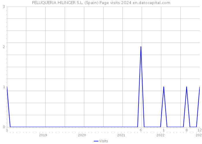 PELUQUERIA HILINGER S.L. (Spain) Page visits 2024 