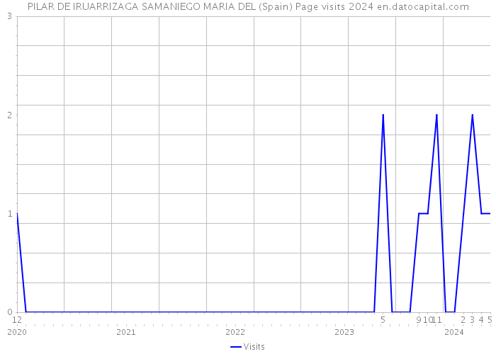 PILAR DE IRUARRIZAGA SAMANIEGO MARIA DEL (Spain) Page visits 2024 