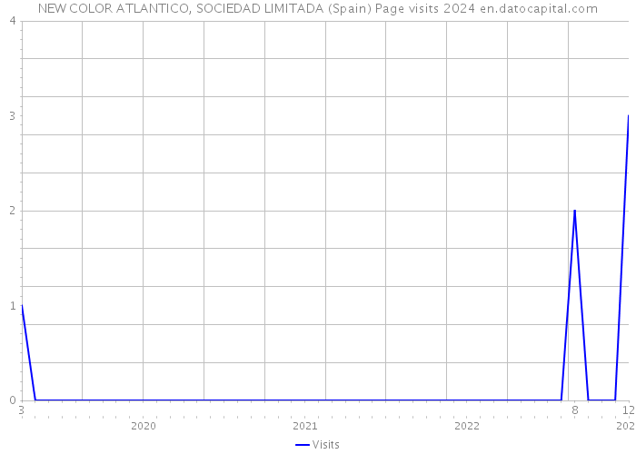 NEW COLOR ATLANTICO, SOCIEDAD LIMITADA (Spain) Page visits 2024 