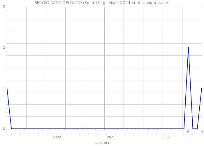 SERGIO RASO DELGADO (Spain) Page visits 2024 