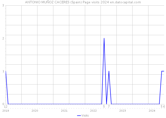 ANTONIO MUÑOZ CACERES (Spain) Page visits 2024 