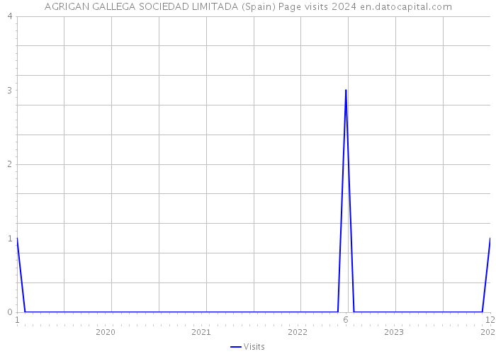 AGRIGAN GALLEGA SOCIEDAD LIMITADA (Spain) Page visits 2024 