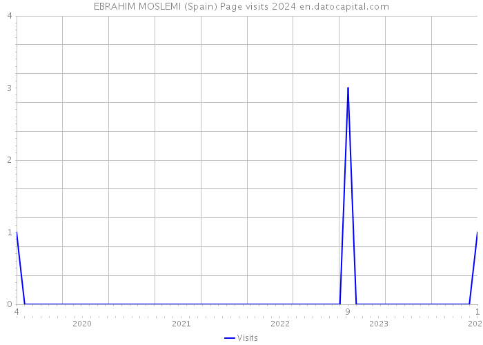 EBRAHIM MOSLEMI (Spain) Page visits 2024 