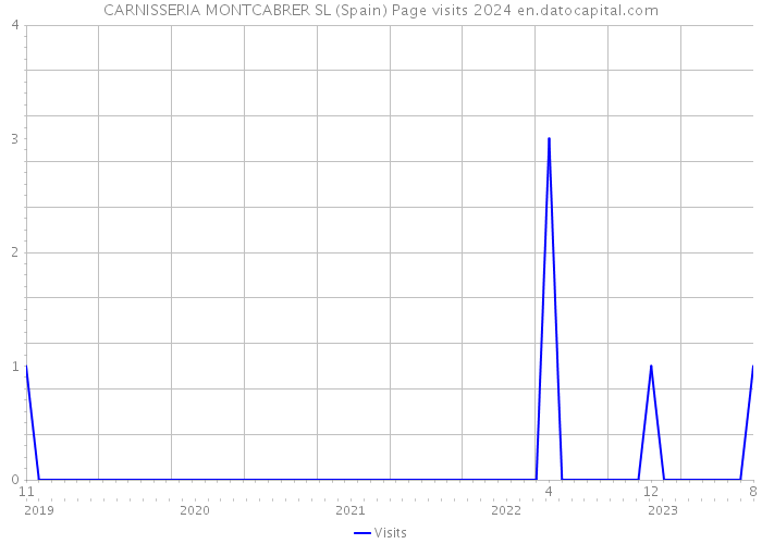 CARNISSERIA MONTCABRER SL (Spain) Page visits 2024 