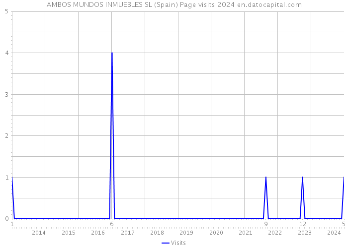 AMBOS MUNDOS INMUEBLES SL (Spain) Page visits 2024 