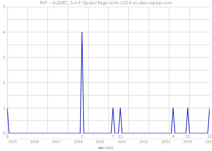 PKF - AUDIEC, S.A.P (Spain) Page visits 2024 