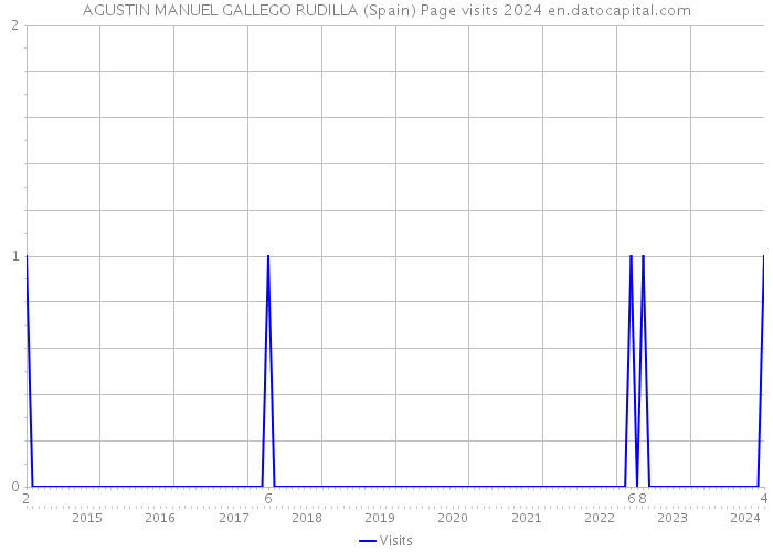 AGUSTIN MANUEL GALLEGO RUDILLA (Spain) Page visits 2024 