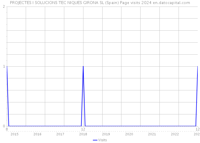 PROJECTES I SOLUCIONS TEC NIQUES GIRONA SL (Spain) Page visits 2024 