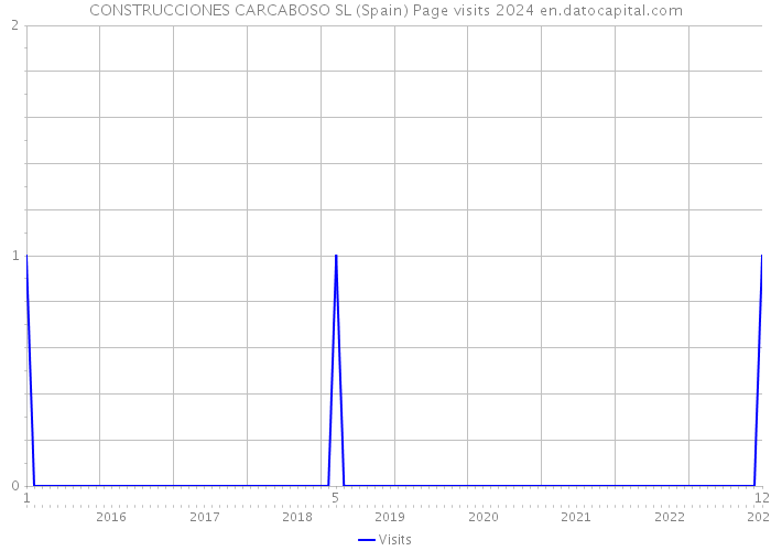 CONSTRUCCIONES CARCABOSO SL (Spain) Page visits 2024 