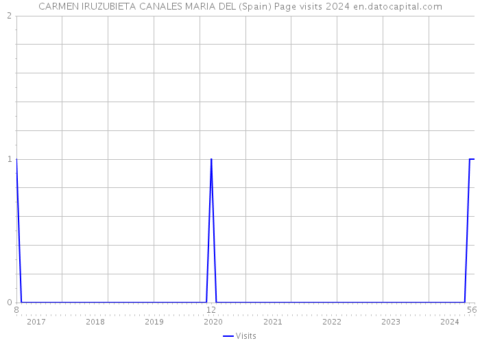 CARMEN IRUZUBIETA CANALES MARIA DEL (Spain) Page visits 2024 