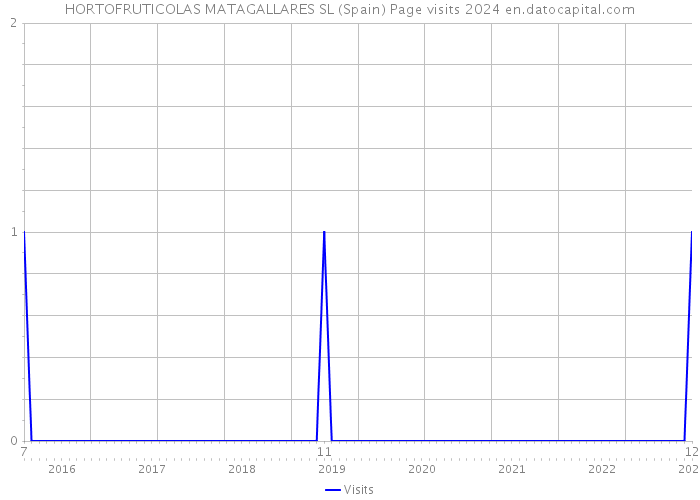 HORTOFRUTICOLAS MATAGALLARES SL (Spain) Page visits 2024 