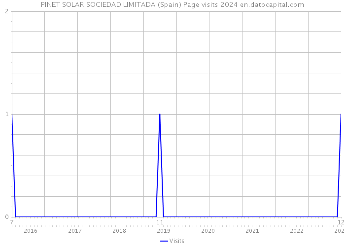 PINET SOLAR SOCIEDAD LIMITADA (Spain) Page visits 2024 