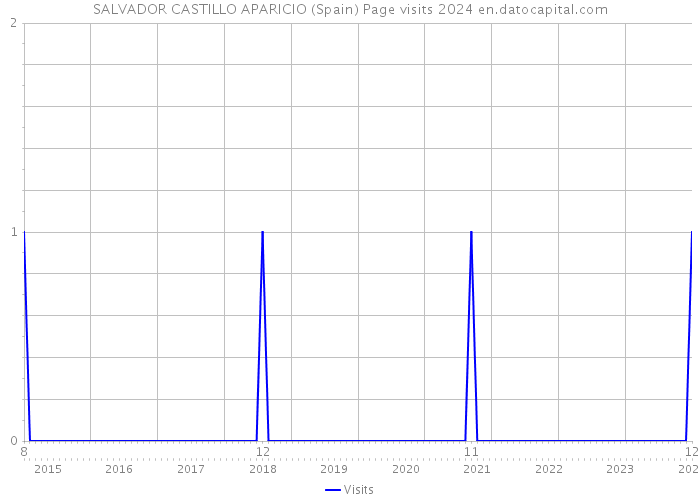 SALVADOR CASTILLO APARICIO (Spain) Page visits 2024 