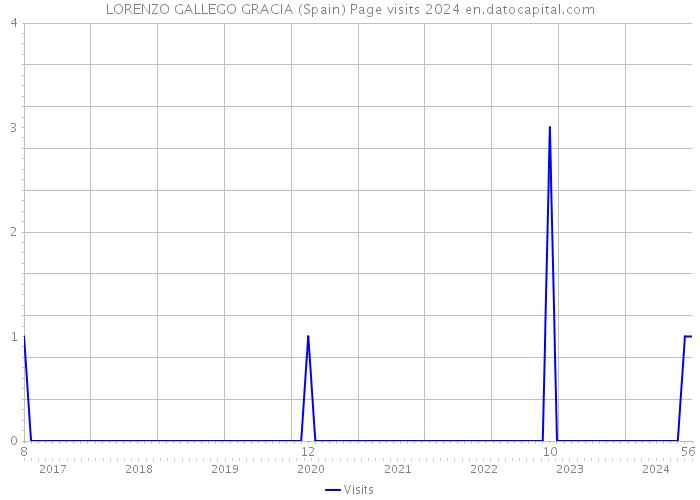 LORENZO GALLEGO GRACIA (Spain) Page visits 2024 
