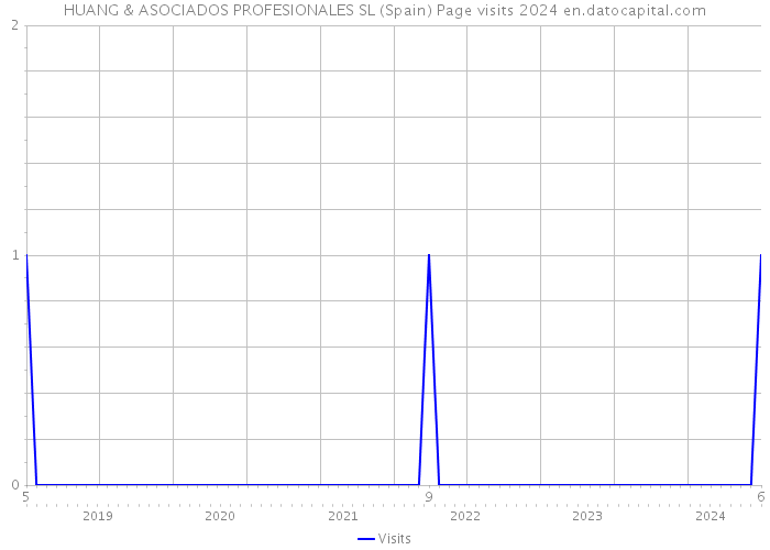 HUANG & ASOCIADOS PROFESIONALES SL (Spain) Page visits 2024 