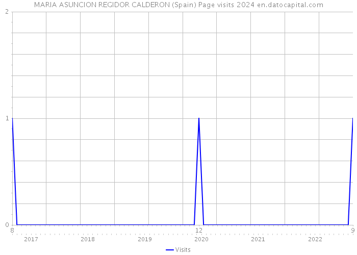 MARIA ASUNCION REGIDOR CALDERON (Spain) Page visits 2024 