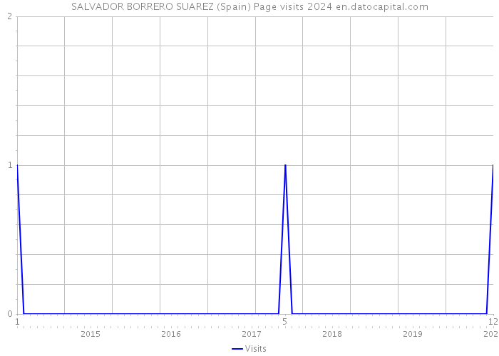 SALVADOR BORRERO SUAREZ (Spain) Page visits 2024 