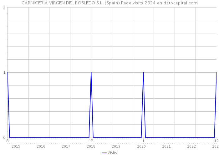 CARNICERIA VIRGEN DEL ROBLEDO S.L. (Spain) Page visits 2024 