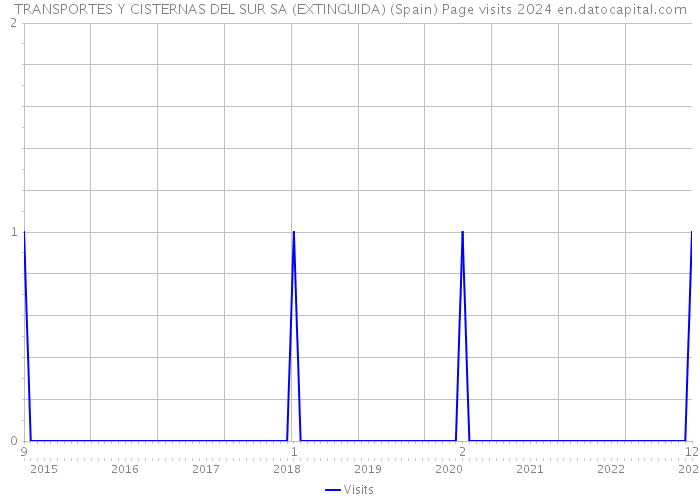 TRANSPORTES Y CISTERNAS DEL SUR SA (EXTINGUIDA) (Spain) Page visits 2024 