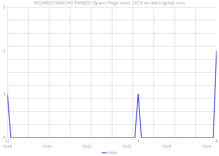 RICARDO SANCHO PANIZO (Spain) Page visits 2024 