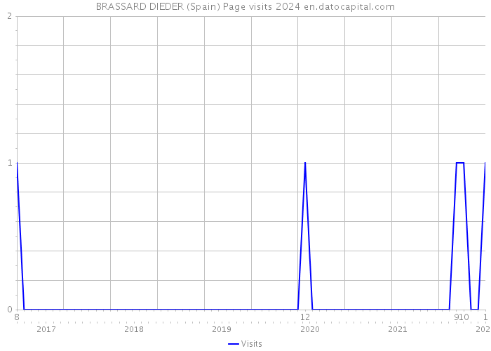 BRASSARD DIEDER (Spain) Page visits 2024 