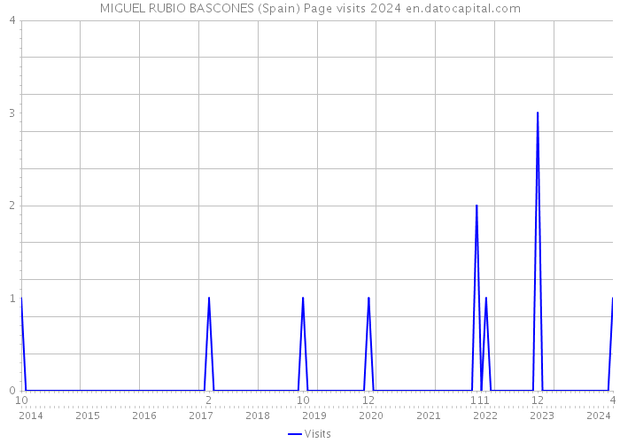 MIGUEL RUBIO BASCONES (Spain) Page visits 2024 