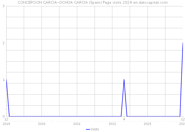 CONCEPCION GARCIA-OCHOA GARCIA (Spain) Page visits 2024 