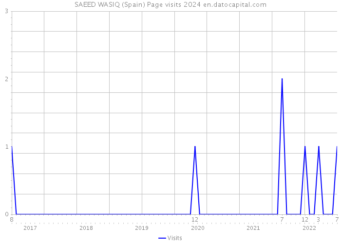 SAEED WASIQ (Spain) Page visits 2024 