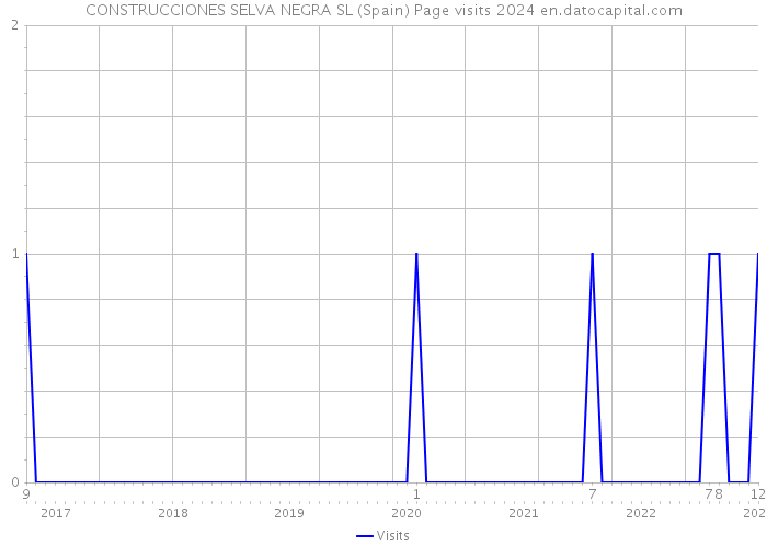 CONSTRUCCIONES SELVA NEGRA SL (Spain) Page visits 2024 