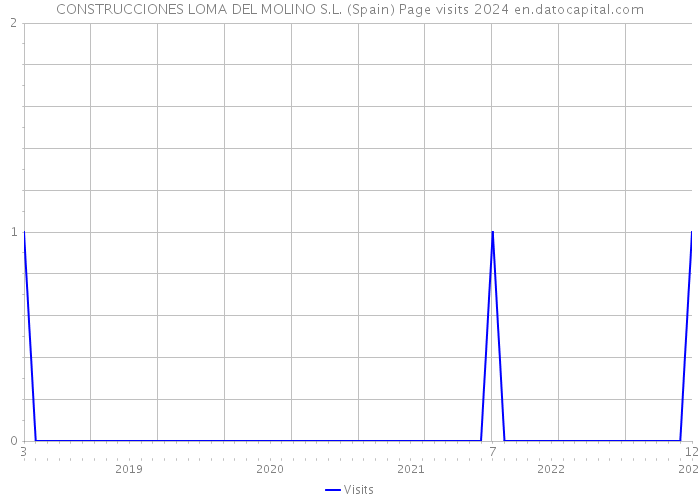 CONSTRUCCIONES LOMA DEL MOLINO S.L. (Spain) Page visits 2024 