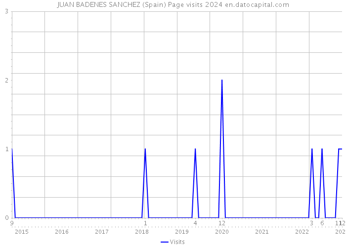 JUAN BADENES SANCHEZ (Spain) Page visits 2024 