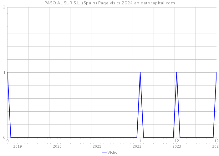 PASO AL SUR S.L. (Spain) Page visits 2024 