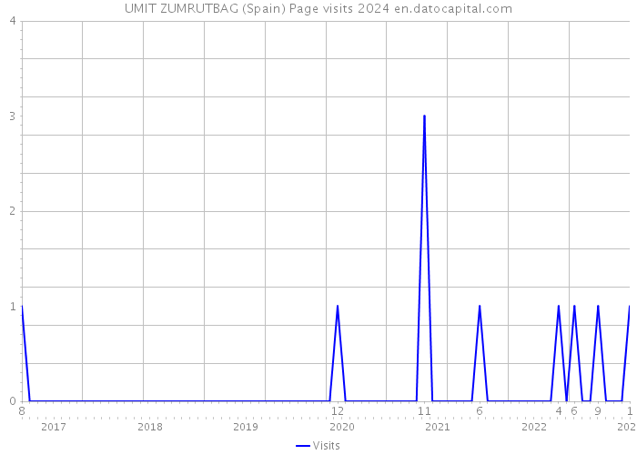 UMIT ZUMRUTBAG (Spain) Page visits 2024 