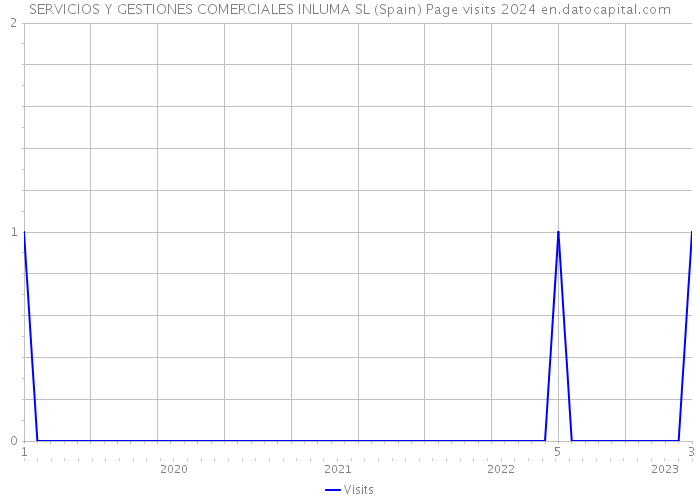 SERVICIOS Y GESTIONES COMERCIALES INLUMA SL (Spain) Page visits 2024 