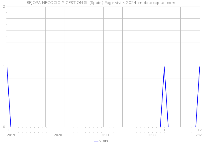 BEJOPA NEGOCIO Y GESTION SL (Spain) Page visits 2024 