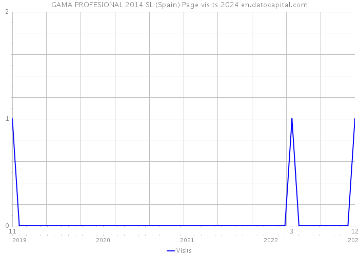 GAMA PROFESIONAL 2014 SL (Spain) Page visits 2024 