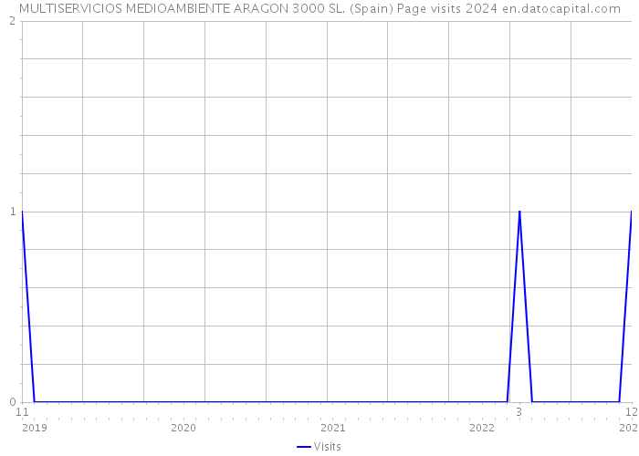 MULTISERVICIOS MEDIOAMBIENTE ARAGON 3000 SL. (Spain) Page visits 2024 