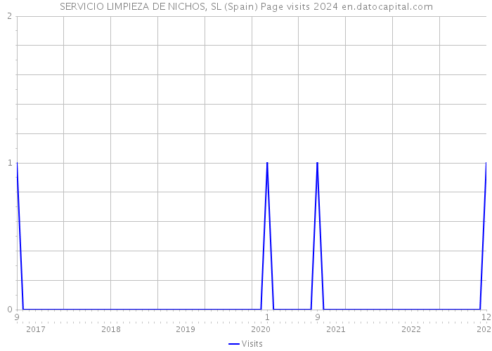 SERVICIO LIMPIEZA DE NICHOS, SL (Spain) Page visits 2024 