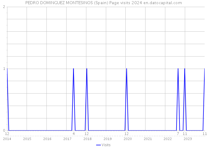 PEDRO DOMINGUEZ MONTESINOS (Spain) Page visits 2024 