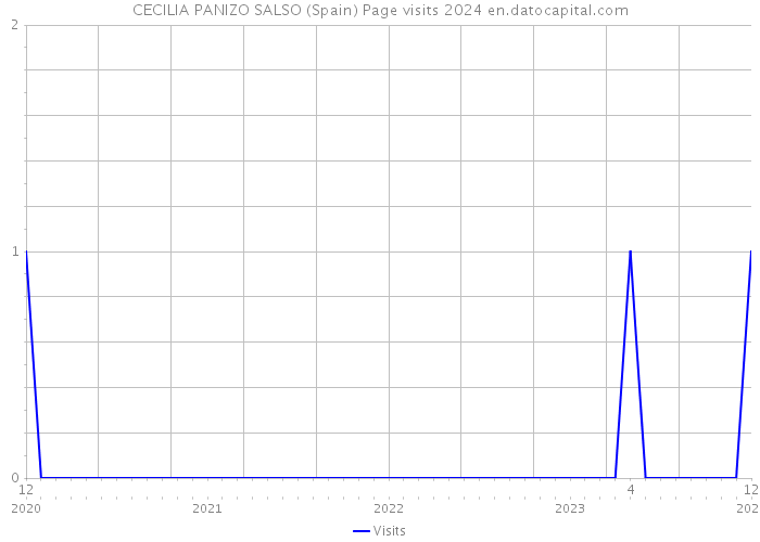 CECILIA PANIZO SALSO (Spain) Page visits 2024 